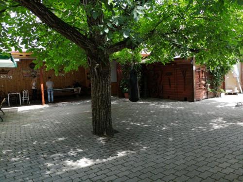 IMG 20180629 120946
